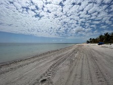 Enlarge photo 60