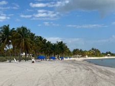 Enlarge photo 63