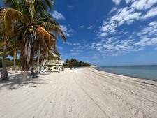 Enlarge photo 17