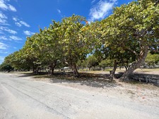 Enlarge photo 27