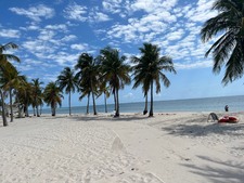 Enlarge photo 30