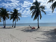 Enlarge photo 32