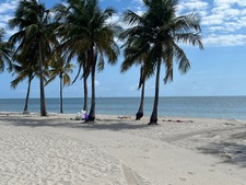 Enlarge photo 34
