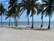 Enlarge photo 35