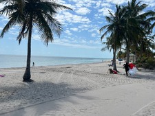 Enlarge photo 41