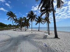 Enlarge photo 43