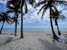 Enlarge photo 44