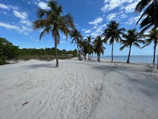 Enlarge photo 46