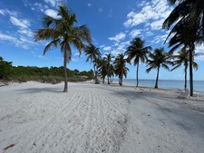 Enlarge photo 47