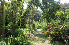 Enlarge photo 10