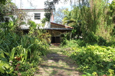 Enlarge photo 13