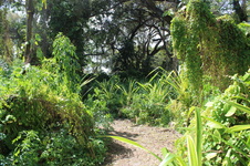 Enlarge photo 14