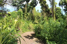 Enlarge photo 15