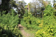 Enlarge photo 16