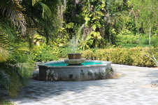 Enlarge photo 24