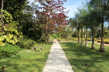 Enlarge photo 34