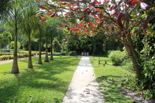 Enlarge photo 36