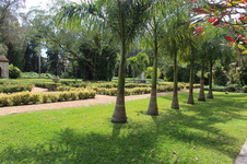Enlarge photo 37
