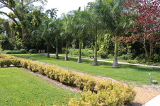 Enlarge photo 38