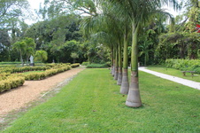 Enlarge photo 78