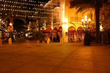 Enlarge photo 67
