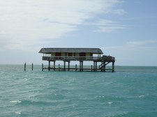 Enlarge photo 53