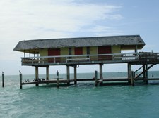 Enlarge photo 54