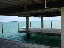 Enlarge photo 61