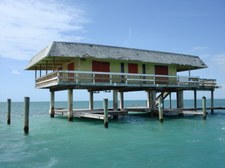 Enlarge photo 69
