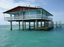 Enlarge photo 79