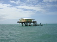 Enlarge photo 81