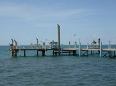 Enlarge photo 111