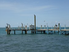 Enlarge photo 92