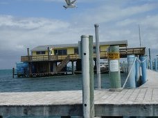 Enlarge photo 112
