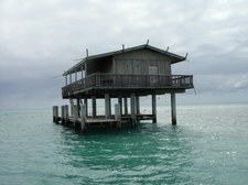 Enlarge photo 106
