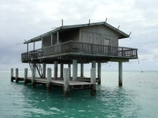 Enlarge photo 105