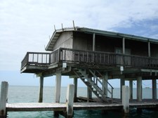 Enlarge photo 103