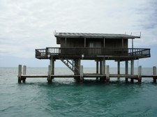 Enlarge photo 98