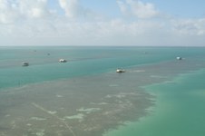 Enlarge photo 115
