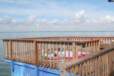 Enlarge photo 15