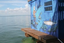 Enlarge photo 29