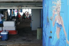 Enlarge photo 33