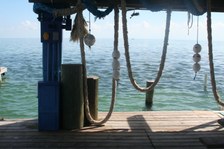 Enlarge photo 34