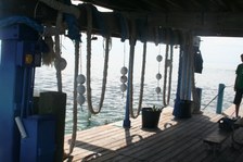 Enlarge photo 35