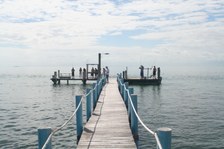 Enlarge photo 38