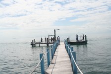 Enlarge photo 39