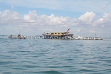 Enlarge photo 46