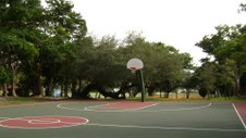 Enlarge photo 58
