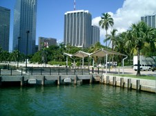 Enlarge photo 86