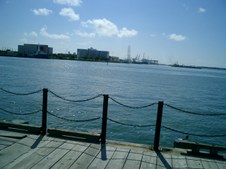 Enlarge photo 88